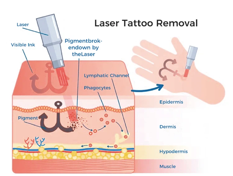 product-750-566 product-750-566